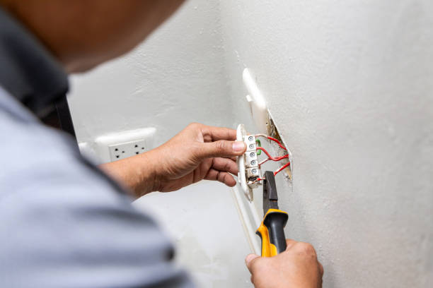 Best Outdoor Lighting Installation  in Lake Dunlap, TX