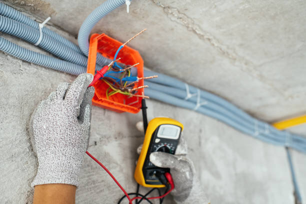 Best Electrical Upgrades for Homes  in Lake Dunlap, TX