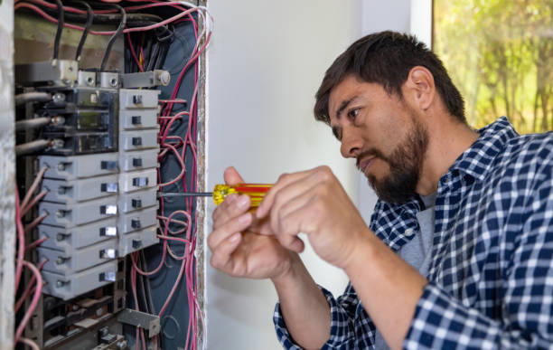 Best Electric Panel Repair  in Lake Dunlap, TX